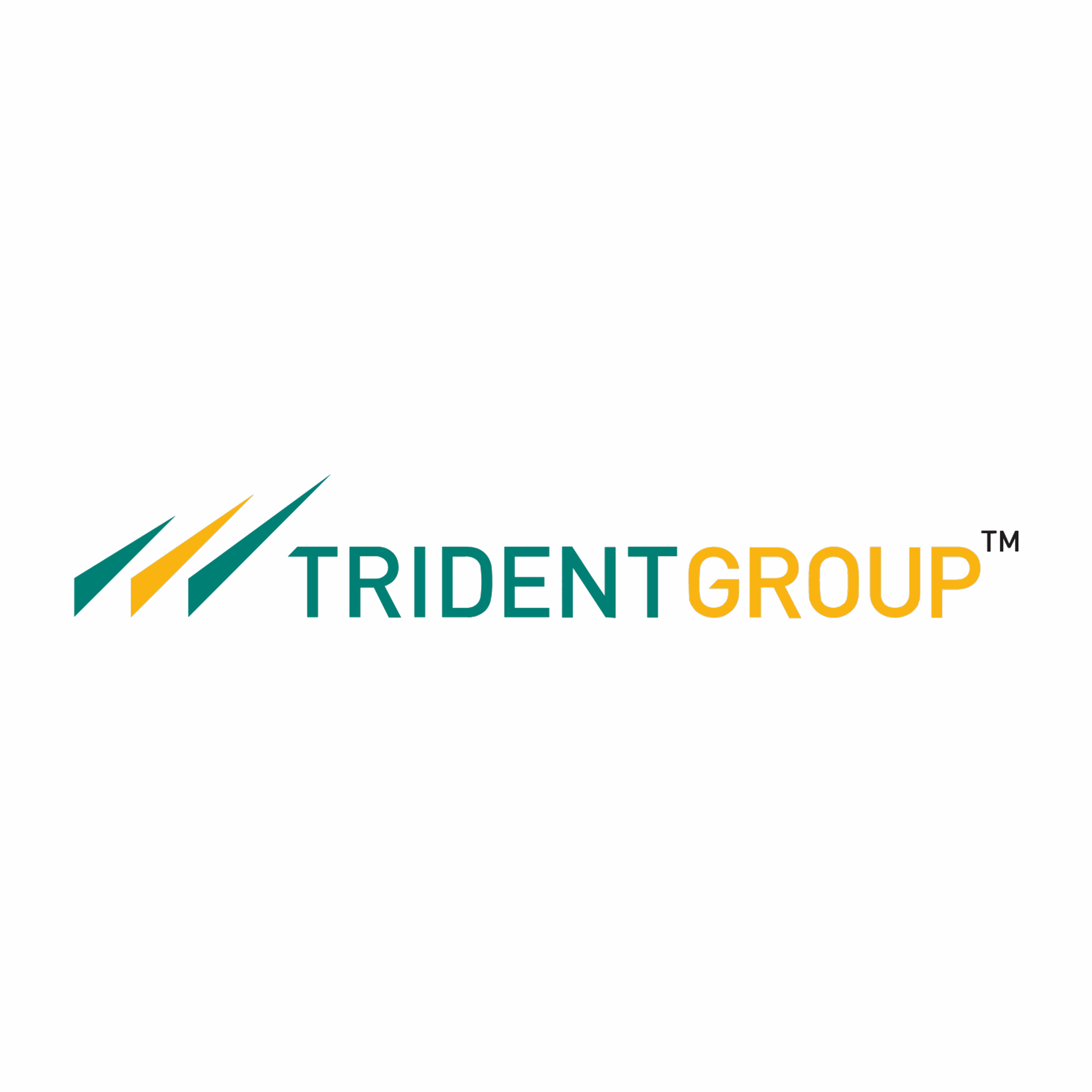 Multi-Fuel Boiler Projects